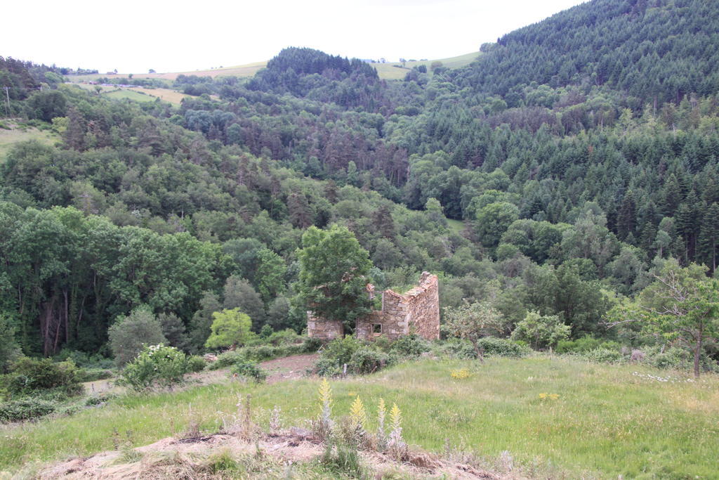Gite Chez Coste Gilles Saint-Privat-du-Dragon Стая снимка